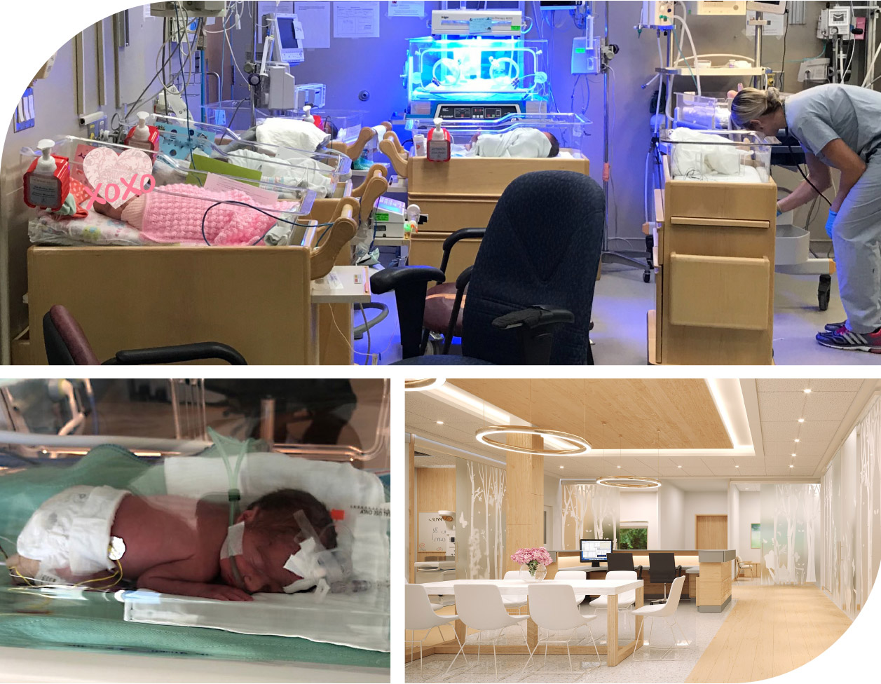 NICU For The North Project Highlights